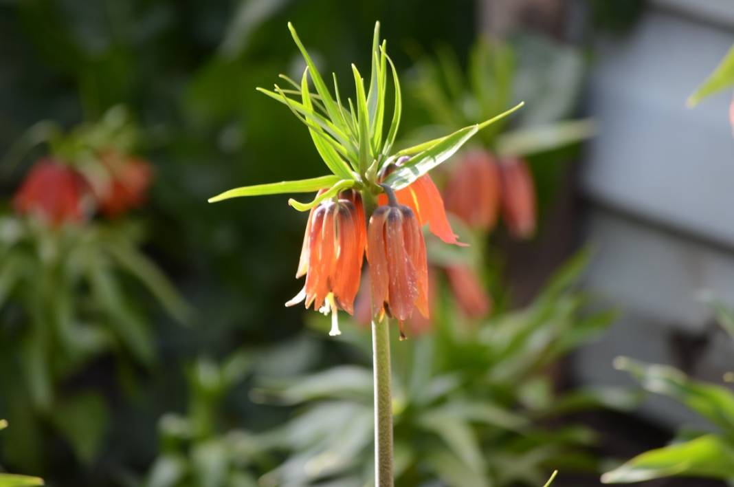 Bu insanlar neye bakıyor? Gece-gündüz nöbet tutuyorlar, ilk kez görenler şaştı kaldı! 48